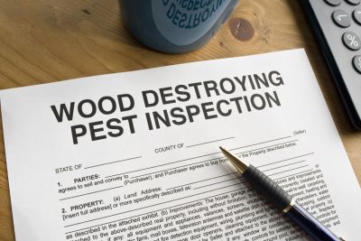 Wood Destroying Pest Inspection
